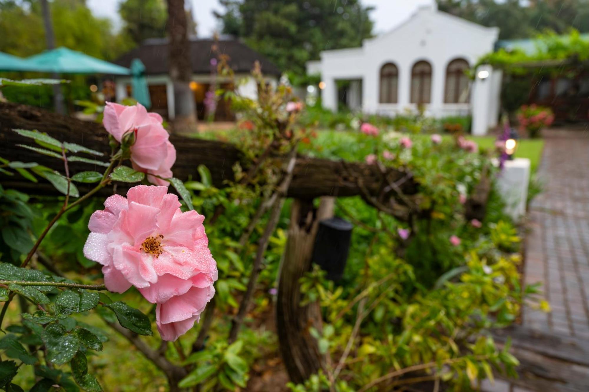 Woodall Country House And Spa Addo Exterior photo